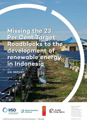 Missing the 23 per cent target: roadblocks to the development of renewable energy in Indonesia